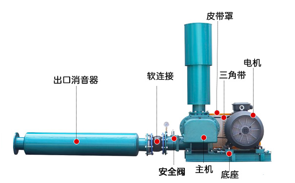 三葉羅茨鼓風機(圖3)